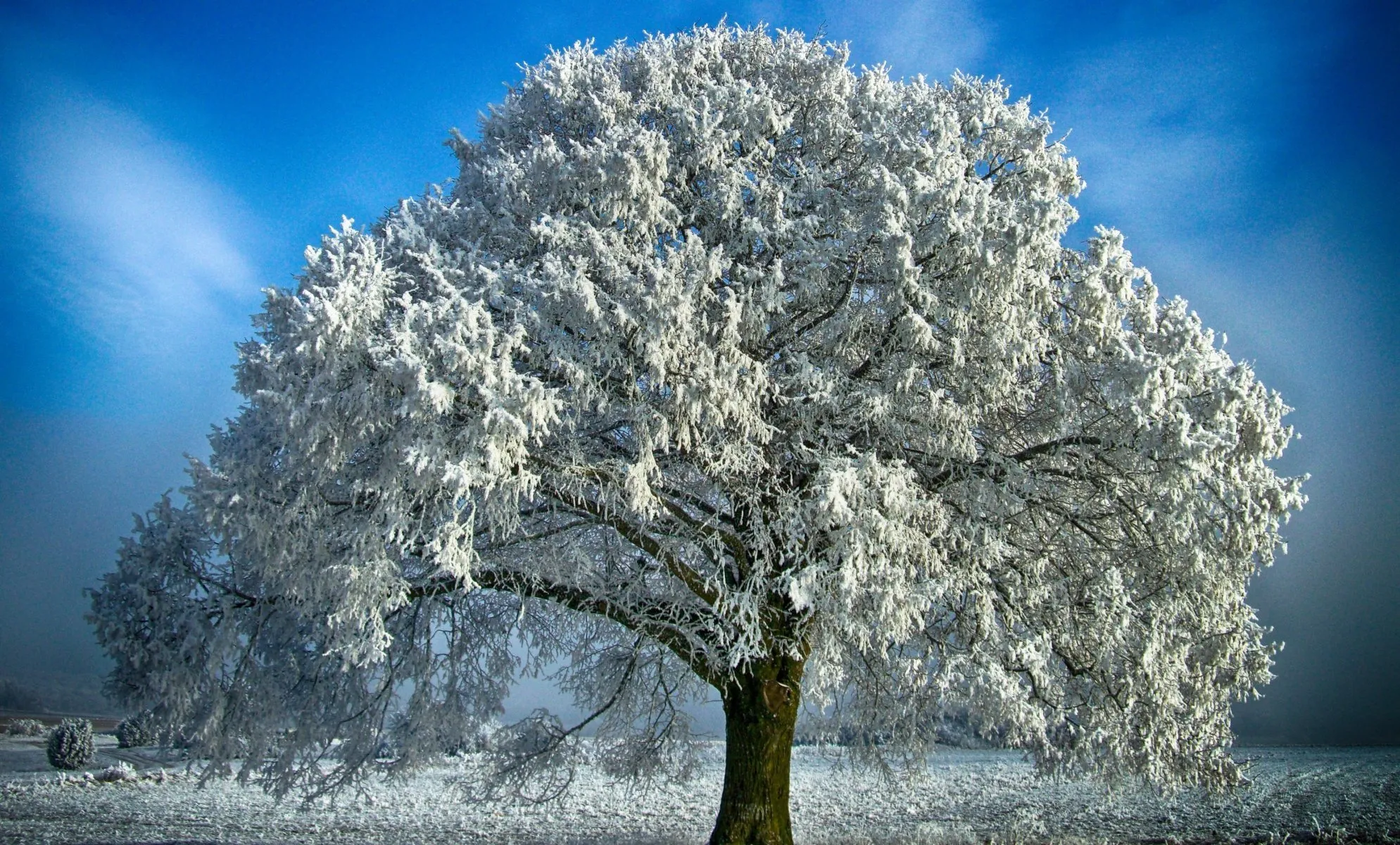 А за городом зима… Снежные пейзажи Беларуси - 30.12.2019, Sputnik Беларусь А за городом зима… Снежные пейзажи Беларуси - 30.12.2019, Sputnik Беларусь