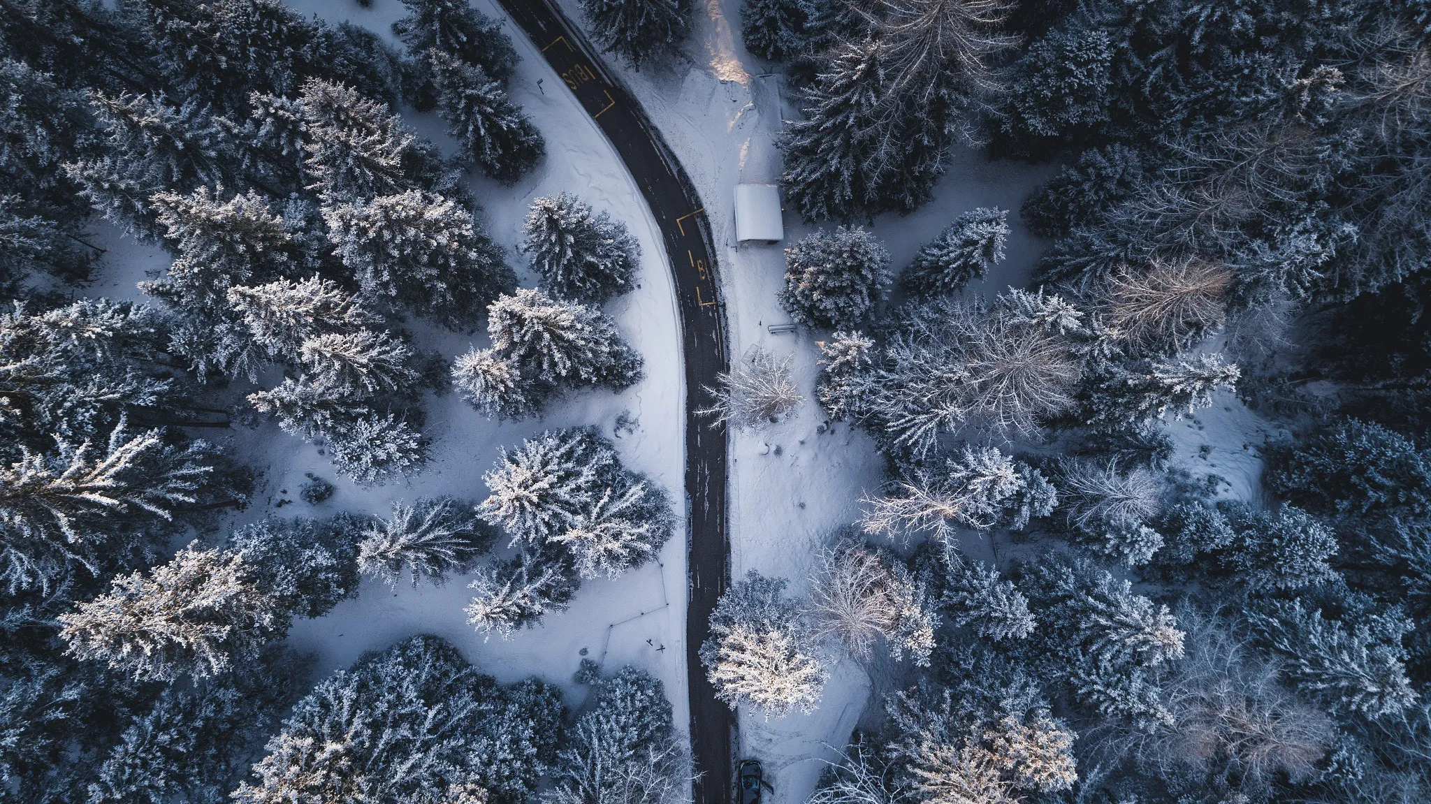 Зимний пейзаж, замерзшие деревья в белом снегу, морозный, солнечный вечер, синее небо Stock-Foto | Adobe Stock Зимний пейзаж, замерзшие деревья в белом снегу, морозный, солнечный вечер, синее небо Stock-Foto | Adobe Stock