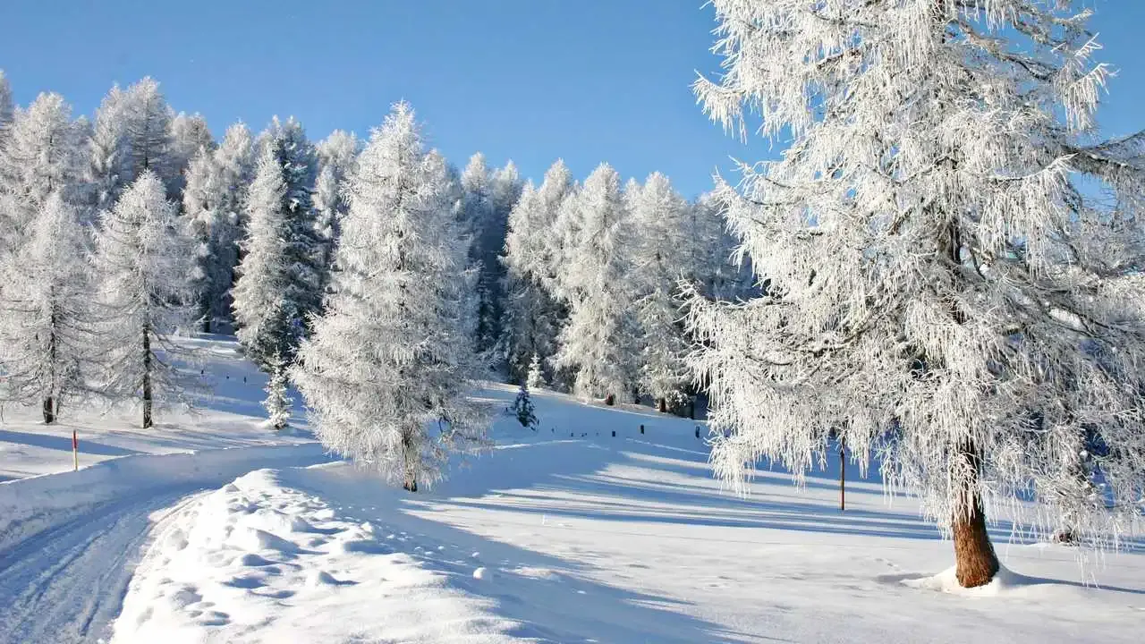Скачать обои зима, дорога, лес, деревья, природа, вид сверху, раздел природа в разрешении 2048x1151 Скачать обои зима, дорога, лес, деревья, природа, вид сверху, раздел природа в разрешении 2048x1151