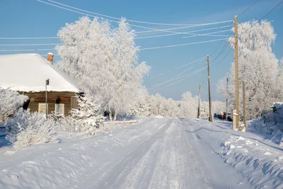 Очарование зимней деревни | Родная наша сторонушка.. | Дзен