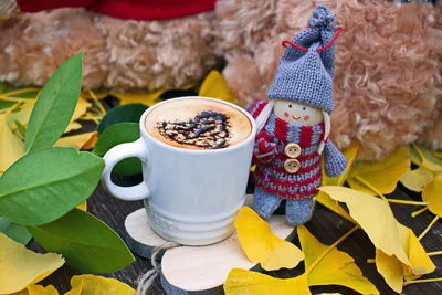 Beautiful Girl Resting and Drinking Coffee Sitting in Autumn Garden Stock  Image - Image of cheerful, eyes: 61407423