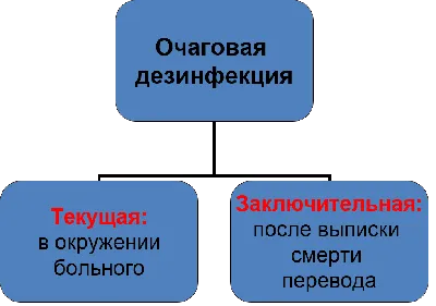 Охотники за насекомыми Дезинфекция Дезинсекция Дератизация