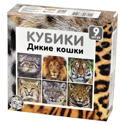 Дикие кошки: Леопардовая кошка (Prionailurus Felis): masterok — LiveJournal