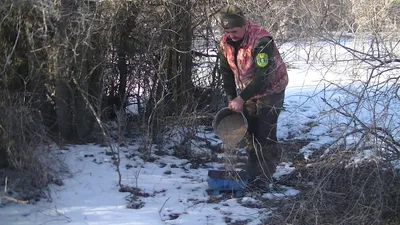 Следы диких животных на глубоком ландшафте зимой снег Стоковое Фото -  изображение насчитывающей красивейшее, место: 212477460