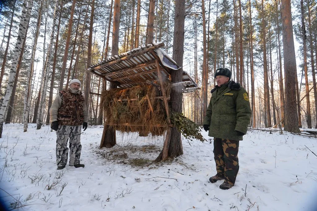 Лесник В Лесу Картинки Для Детей