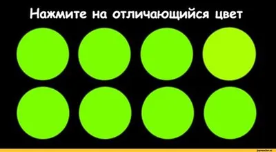 Мир в новом цвете: «Чудо техники» испытало нашумевшие очки для дальтоников  // Новости НТВ