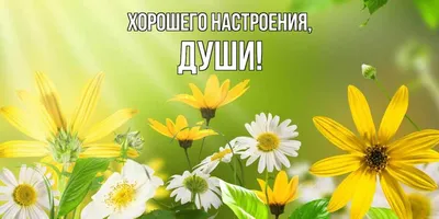 Картинки с надписью - Желаю я сейчас от всей души, тебе хорошего настроения.