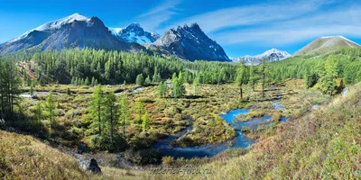 Фотографии большого размера | ФОТОВЫСТАВКА