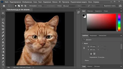 100 кистей для фотошопа для снега, Кисти Включая: снег и рождество - Envato  Elements