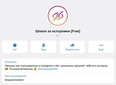 Сторителлинг в Instagram: примеры и пошаговое руководство, как его делать