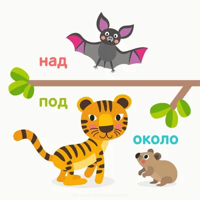 Предлоги с милыми животными🐱 Картинки помогают разнообразить изучение  иностранного языка и бы трек запомнить новые слова Поэтому… | Instagram