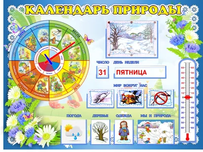 Уголок природы с карточками Капелька купить - Topdekor.by