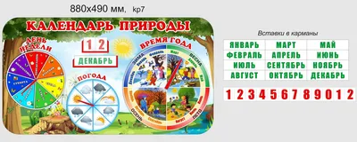 Стенд \"Календарь природы\" развивающий для детского сада 880х490 мм  (ID#112374103), цена: 92 руб., купить на Deal.by