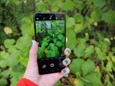 Huawei Honor 8X is a budget phone with a punch - CNET