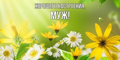 Открытки \"Доброго дня!\" для мужчин (226 шт.)