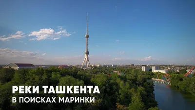 Поздравляем Кирюшу,сыночка Маринки Рудь с Днём рождения!!! Ты — мальчишка  золотой. 9 лет — уже.. | ВКонтакте