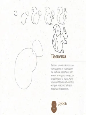 Профессиональный карандаш для рисования 12 шт./компл., графитовый карандаш  для рисования, железный футляр, профессиональная художественная ручка для  рисования для студентов, начинающих художников | AliExpress