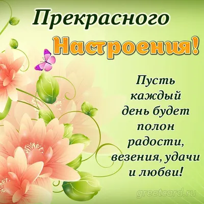 Хорошего настроения | Пикабу