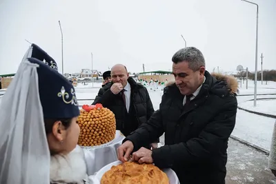 Рапс — для чего используется и что с него делают