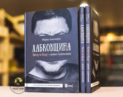 три одиноких дерева в середине утра на поле с горой, осень, Кёнги до, время  года фон картинки и Фото для бесплатной загрузки