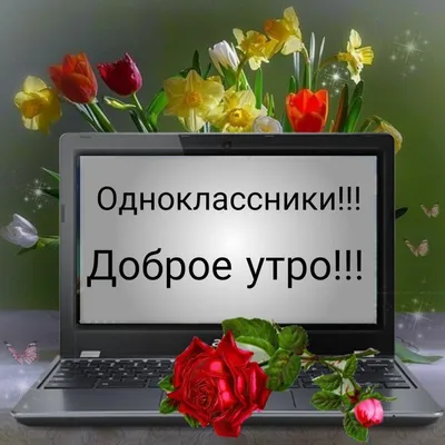 Одноклассники уберут оценку «5+» и «класс 👍🏻» уже в августе!🤔 Им на  смену придут реакции… Функция оценок фотографий.. | ВКонтакте