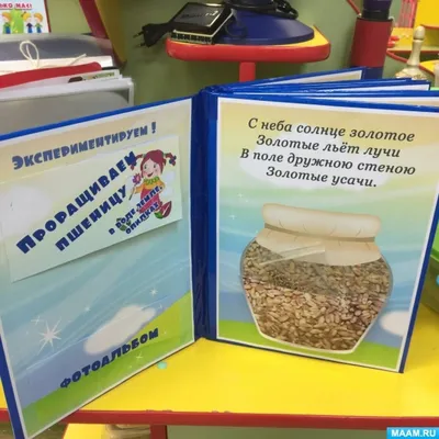 Как оформить уголок природы в детском саду – АНРО технолоджи