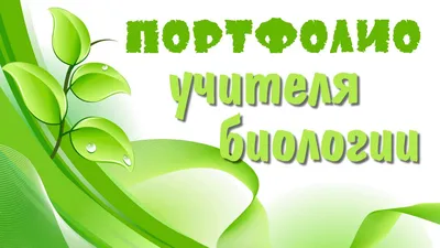 Портфолио учителя - дефектолога: Научно - методическая деятельность