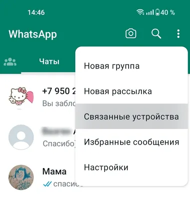 Отставить панику: что на самом деле происходит с блокировкой WhatsApp для  россиян и удалением аккаунтов в