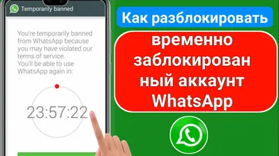 WhatsApp ограничит, а затем удалит ваш профиль, если не примете новые  правила - 19.04.2021, Sputnik Кыргызстан