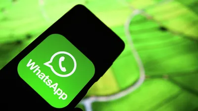 Изображение профиля психологии для WhatsApp Стоковое Фото - изображение  насчитывающей психология, профиль: 122365938