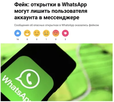 WhatsApp Business: как быть ближе к клиентам и повысить открываемость  сообщений до 90%