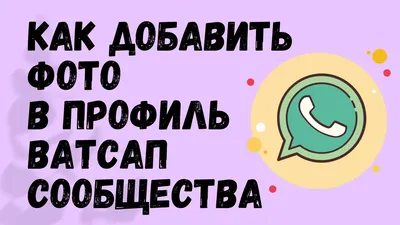 Лучшие изображения и фото профиля для WhatsApp: оригинальные, смешные… |  Интересные Технические Новинки | Дзен