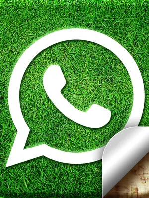 10 полезных советов для каждого пользователя WhatsApp - Лайфхакер