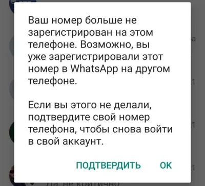 Обновление WhatsApp: вход в аккаунт теперь возможен через электронную почту