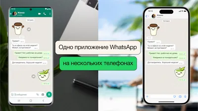 Зеленая галочка Ватсап: пошаговая инструкция получения | Chat2Desk.com Блог