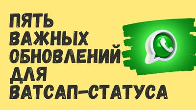 Как установить фото профиля (аватарку) в WhatsApp - YouTube