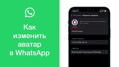 Seopulses - Как в шапке профиля инстаграм сделать ссылку на WhatsApp ?❓  Есть несколько способов добавления ссылки на WhatsApp в шапку профиля  инстаграм. Мы рассмотрим один из них - это размещение ссылки