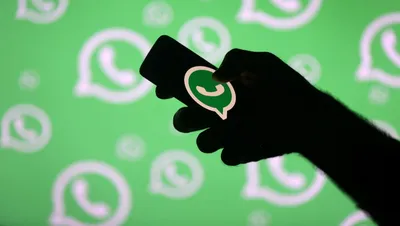 Новости недели WhatsApp: имя пользователя и функция демонстрации экрана