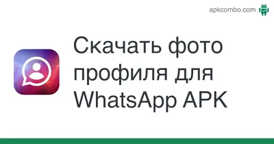 WhatsApp Business: что это и как использовать бизнесу. Читайте на Cossa.ru