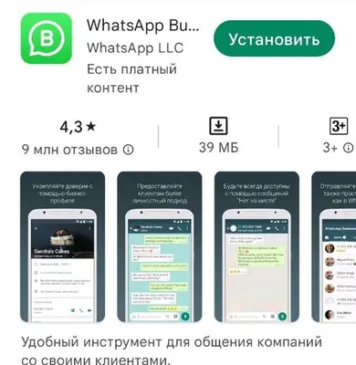 Бизнес-аккаунт в WhatsApp: что это и как с его помощью увеличить количество  клиентов?