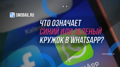 WhatsApp запретит делать скриншот фотографии профиля