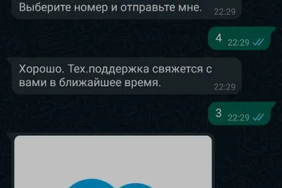 Как узнать, кто просматривал ваш профиль WhatsApp | Кто тайно просматривал  мой профиль WhatsApp - YouTube