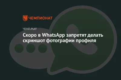 Бизнес-аккаунт WhatsApp: полная инструкция по использованию