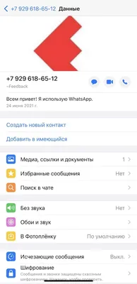 Как добавить второй аккаунт в WhatsApp на Android, не клонируя приложение -  AndroidInsider.ru