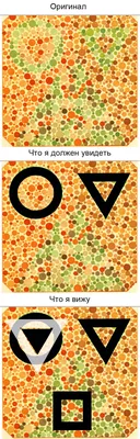 Дальтонизм: истории из жизни, советы, новости, юмор и картинки — Все посты  | Пикабу