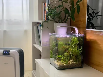 Green House Aquatics