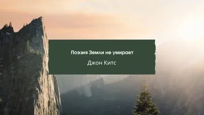 Скачайте красивые обои рабочего стола бесплатно | Canva