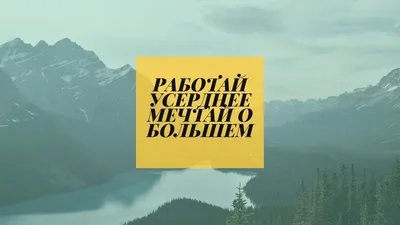 Скачать обои поле, ночь, дерево, раздел пейзажи в разрешении 1920x1200