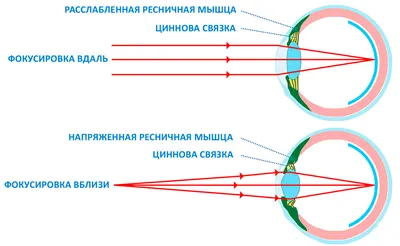 Расслабляем глаза | Пикабу