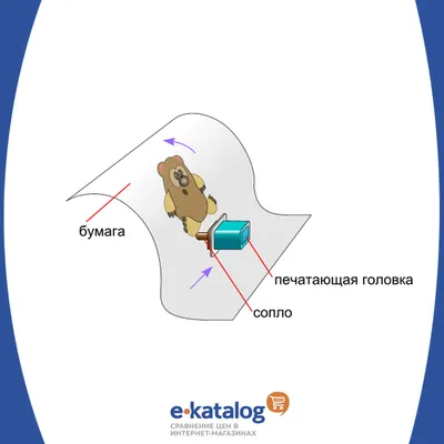 Что такое дуплекс в принтере (двусторонняя печать)